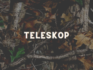 Teleskop